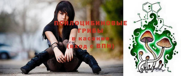 Альфа ПВП Ельня